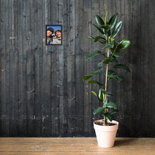 Load image into Gallery viewer, Framed poster